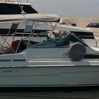 Barca sea ray 7.50 mt con motore Mercruiser 5.7 8V
