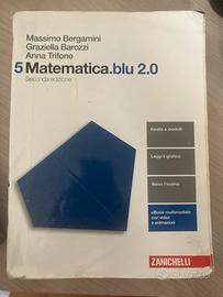 Matematica.blu 5 (Seconda edizione)