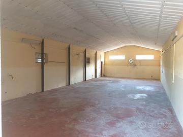 Capannone+Uffici+Piazzale+Terreno Edificabile