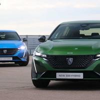 Ricambi per peugeot 308 2021/2022
