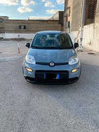 Fiat panda -2022