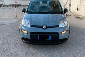 Fiat panda -2022