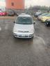 fiat-panda-1-2-alessi