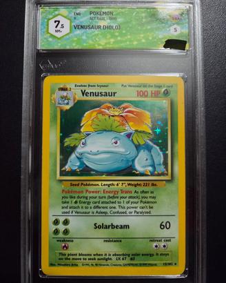 venusaur 15 gradato 7.5 