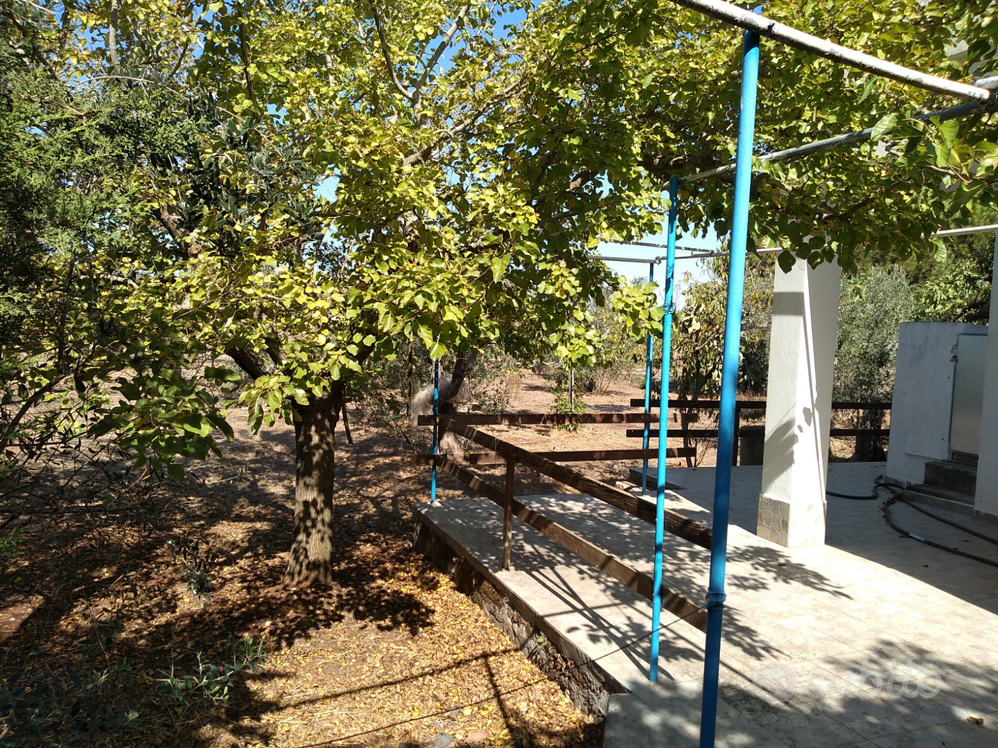 Terreno e casetta in Salento - Vista 2