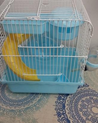 gabbia per criceti 
