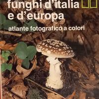 Libro sui funghi