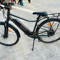 bicicletta elettrica servoassistita Riverside 