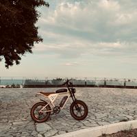 Bici fat e-bike jansno x70