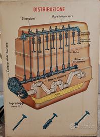 Affiche AUTOSCUOLA  pannello bifacciale didattico