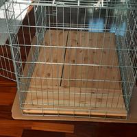  kennel,recinto per cani