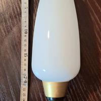 Lampadina industriale vintage gigante Philips

60w