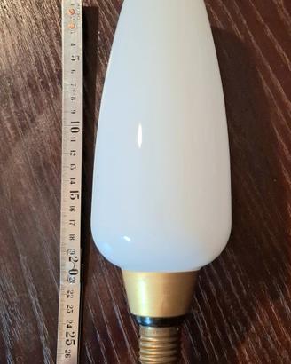 Lampadina industriale vintage gigante Philips

60w