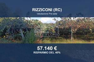 Immobile in asta di 15875 m² a Rizziconi