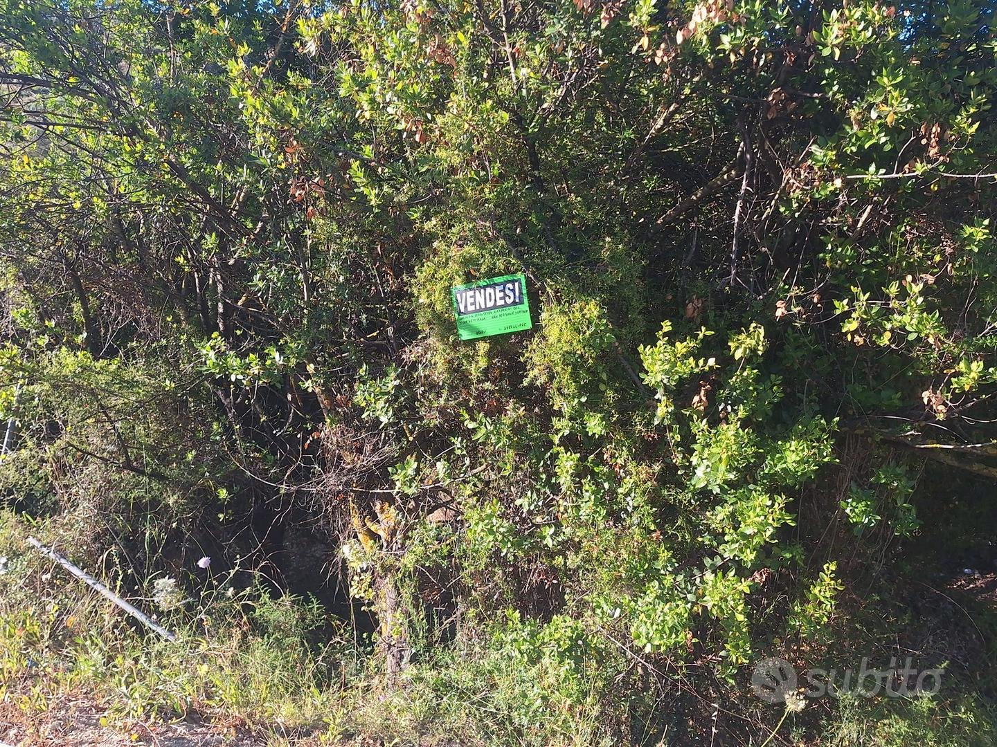 Campagna in località Gelidu Sorso - Altro