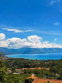 Terreno panoramico vista mare 4000 Mq (Scario) Sa