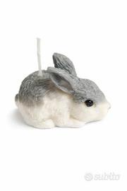 Candela a forma di Coniglio Grigio e bianco