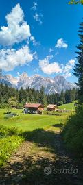 Vacanze  relax inverno a Primiero 