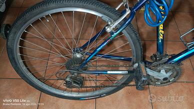 bicicletta Atala uomo
