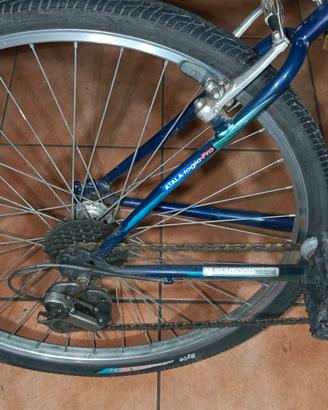bicicletta Atala uomo