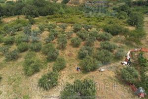 Terreno Agricolo Vasto [A4340580]