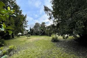 TERRENO DI 1.030 MQ: perfetto per dar vita ai t...
