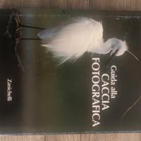 Guida alla caccia fotografica