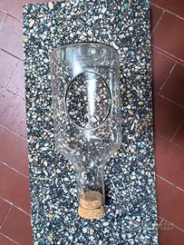 vaso vetro per piante 