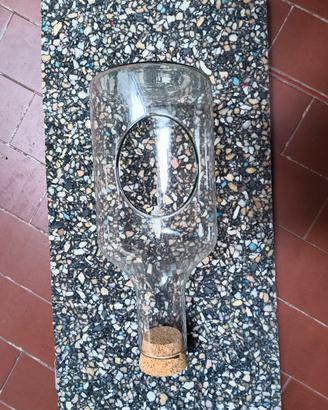 vaso vetro per piante 