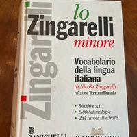 Libri VOCABOLARIO lingua italiana