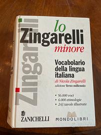 Libri VOCABOLARIO lingua italiana