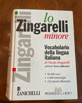 Libri VOCABOLARIO lingua italiana