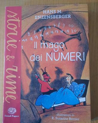 il mago dei numeri