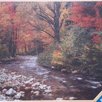 2 Ravensburger puzzle nuovo