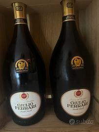 GIULIO 2000 ed limitata sboccatura 2018