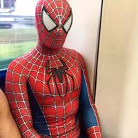 Costume Spiderman Raimi Tobey Maguire. Logo in 3D