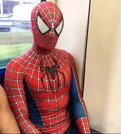 Costume Spiderman Raimi Tobey Maguire. Logo in 3D