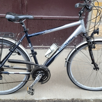 City bike winora