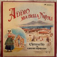 Dischi in vinile