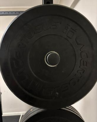 Set bumper Lacertosus 200kg
