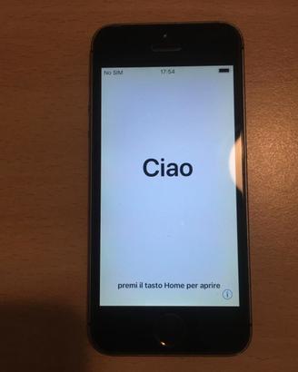Apple Iphone 5s