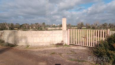 Terreno 14000m Casarano localita campana