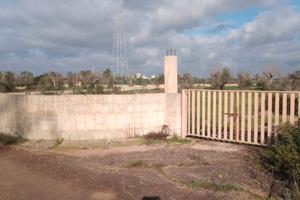 Terreno 14000m Casarano localita campana