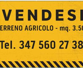 Terreno agricolo mq.3.500