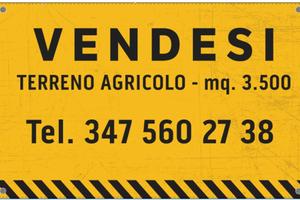 Terreno agricolo mq.3.500