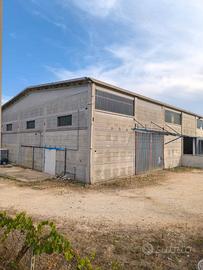 Capannone artigianale/commerciale