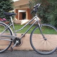 Bici Torpado, alluminio, cambio shimano