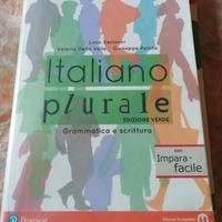 Libro italiano plurale edizione verde