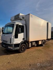 Iveco Eurocargo 120EL21 Frigo + sponda idraulica