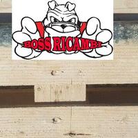 SUZUKI VITARA ALBERO TRASMISSIONE ANTERIORE G16A